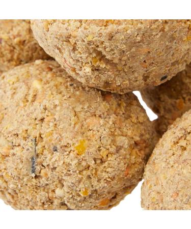 Premium Suet Fat Balls Wild Bird Pack of 50 - Buy Online on GoSupps.com