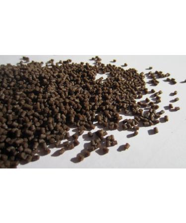 Premium Nutri Fish Feed - Buy Online on GoSupps.com