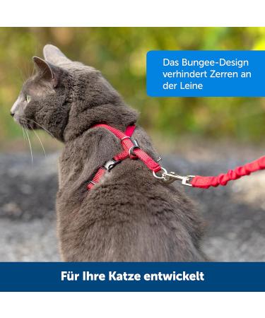 PetSafe Easy Walk Cat Harness - Size S Red | Elastic Bungee Leash for Comfortable Cat Walking | International Shipping Available - Buy Online on GoSupps.com