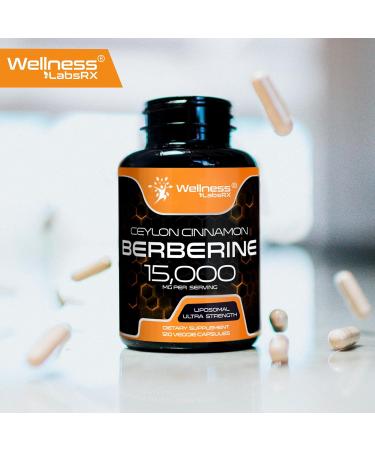 WELLNESS LABSRX Berberine 15 000mg - Third-Party Tested Berberine Supplement HCL with Ceylon Cinnamon Black Pepper Extract and Apple Cider Vinegar Heart Support Capsules - 120 Capsules - Pack of 1 120 Count (Pack of 1) - Buy Online on GoSupps.com