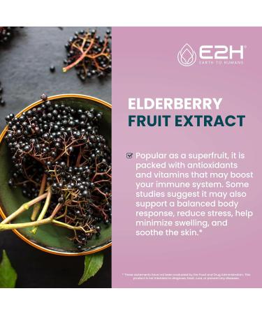 E2H Elderberry Syrup - Powerfull Antioxidants Supplement from Organic Elderberries Extract - Sambucus Elderberry Syrup for Kids & Adults for Immune Support - Non-GMO Vegan - 2 Fl Oz 2 Fl Oz (Pack of 1) - Buy Online on GoSupps.com