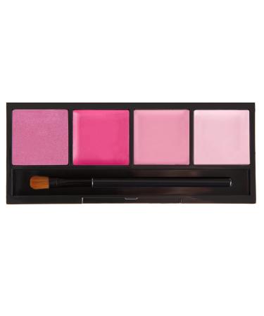 Coastal Scents Lip Quad  Juicy Pink