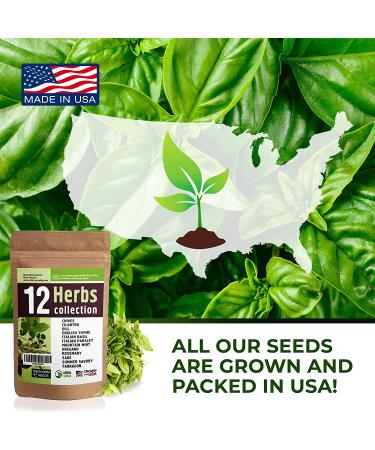 12 Culinary Herb Seeds Variety - USA Grown for Indoor and Outdoor Gardens | Heirloom and Non-GMO Seeds Including Basil, Parsley, Cilantro, Mint, Chives, Thyme, Oregano, Tarragon, Dill, Rosemary, Sage & More - Buy Online on GoSupps.com