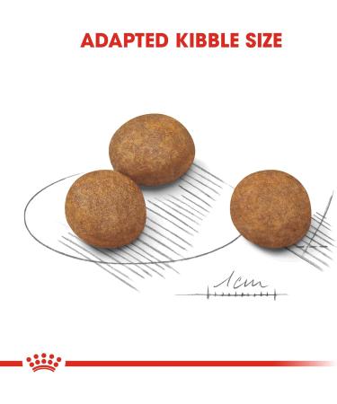 ROYAL CANIN Maxi Junior 1 kg - Buy Online on GoSupps.com