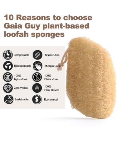 Gaia Guy Natural Flush Sponge (10 Pack) - Eco-Friendly Biodegradable Luffa Kitchen Scrubs | 100% Plastic-Free & No Waste - Buy Online on GoSupps.com