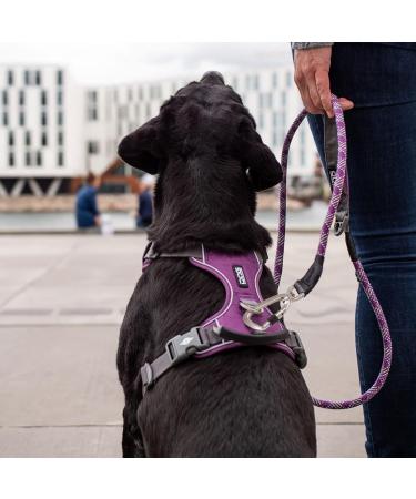 DOG Copenhagen Dog Harness V2 Comfort Walk Pro - Black XS | Premium Dog Harness for Optimal Comfort & Control - 2020 Version - Buy Online on GoSupps.com