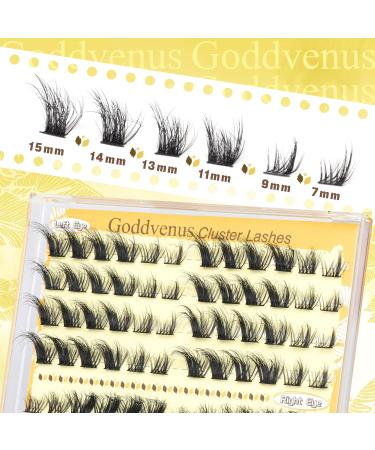 Paired Lashes Extension Kit Natural D Curl Russian Fox Eye Lash Individual Cluster Kit Wispy DIY Cluster Eyelash Extensions Kit with 96pcs Lash Clusters Bond and Seal Waterproof by Goddvenus K-foxy eye lash cluster 8 pairs - Buy Online on GoSupps.com