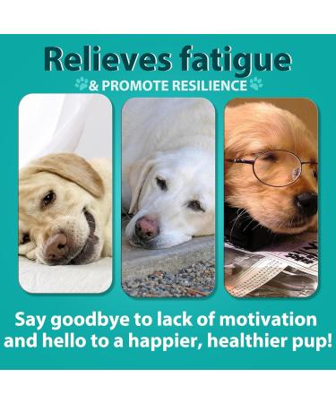 HRAMEX Calming - Food Supplement for Dogs Stress Relief No Dyes or Preservatives 110 Delicious Chicken Treats 242g (Inte) - Buy Online on GoSupps.com