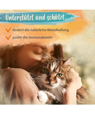 Ida Plus Mineral Forte - Essential Minerals & Vitamins for Immune System Skin Fur Bones & Claws for Horses Dogs & Cats - 2kg - International Shipping Available - Buy Online on GoSupps.com