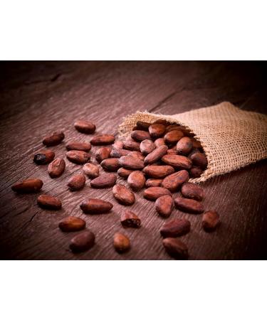 Nestl Les Recettes de L'Atelier Dark Chocolate Bar Cocoa Bean 100 g - Buy Online on GoSupps.com