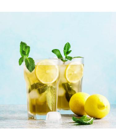 Organic Green Sencha Tea - 250g Loose Leaf | Aromatic & 100% Natural | BioKontor - Buy Online on GoSupps.com