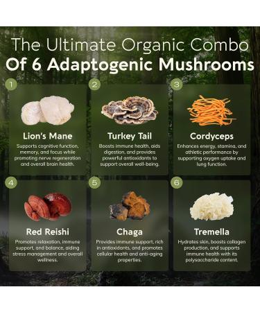 Organic Super Six Mushroom Blend Capsules Supplement (90) | Fruiting Body Extract Complex | Lions Mane Turkey Tail Cordyceps Reishi Chaga & Tremella | 35% Beta-D Glucans | Overall Wellness Support 6 Blend - Buy Online on GoSupps.com