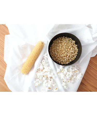 Wabash Valley Farms Hull-Less White Popcorn Kernels - 2 lb Pack - Buy Online on GoSupps.com