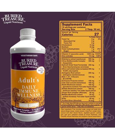 Buried Treasure Immune Wellness Booster - 16 Fl Oz | Elderberry, Echinacea & Vitamins - Buy Online on GoSupps.com