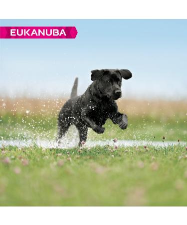 Eukanuba Dog - Developing Junior - Large Breed - 12 kg - Buy Online on GoSupps.com
