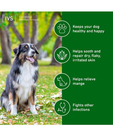 Dermaplex Skin & Coat Shampoo for Dogs & Puppies - Fresh Scent | 8 fl oz | International Veterinary Sciences - Buy Online on GoSupps.com