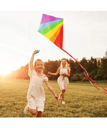 Large Diamond Kite for Kids - Lightweight, Easy to Assemble, Soars High in Low Winds - Ideal for Outdoor Fun with Friends & Family! - Buy Online on GoSupps.com