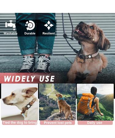Premium AirTag Dog Collar & Silicone GPS Cover | Anti-Loss Pet Accessories | Compatible with Apple AirTag (4 Colors) - Buy Online on GoSupps.com