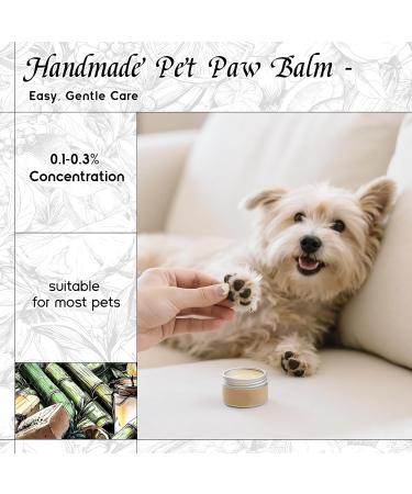 HIQILI 100ML Eucalyptus Essential Oil & 30ML Bamboo Fragrance Oil for DIY Diffuser - Buy Online on GoSupps.com