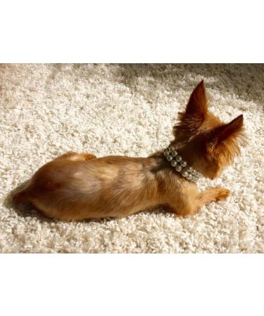 Pet Show Rhinestone Faux Pearl Small Dog Necklace - Size S - Ivory - Buy Online on GoSupps.com