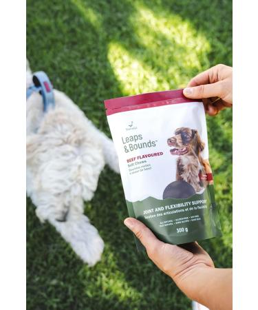 Leaps & Bounds Beef Flavoured Soft Chews for Dogs Joint & Flexibility Support Helps Maintain Joint Health & Mobility Great Tasting All Natural Gluten-Free Soy-Free Made in Canada - 300g - Buy Online on GoSupps.com
