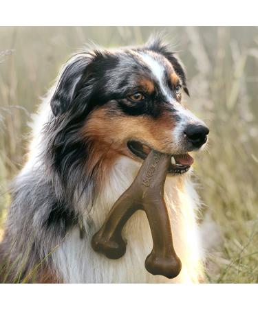 Benebone Wishbone Dog Chew Toy for Aggressive Chewers - Real Bacon Flavor - Made in USA (Medium) - Buy Online on GoSupps.com