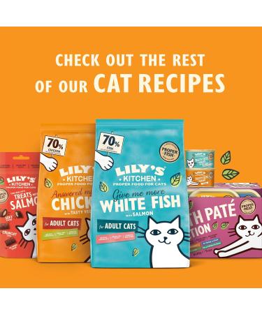 Lily's Kitchen Made with Natural Ingredients Adult Dry Cat Food Bag Chicken with Veggies Grain-Free Recipe 2kg Chicken Casserole 2 kg (Pack of 1) - Buy Online on GoSupps.com