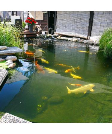 JBL 4124100 Autumn Koi Thin Skin for Wafer Season Lining Autumn Propond Size M 1500 g - Buy Online on GoSupps.com