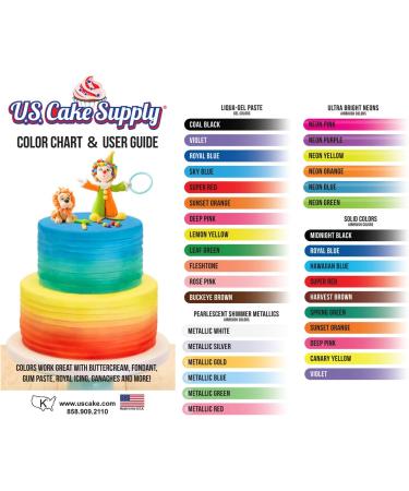 U.S. Cake Supply Airbrush Kit with 12 Vivid Colors - Complete Cake Decorating Set for Cakes, Cupcakes, Cookies, and Desserts - Buy Online on GoSupps.com