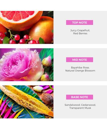 Dominican Republic Bayahibe Rose EDP Perfume Spray - 100 ml (3.4 oz) - Buy Online on GoSupps.com