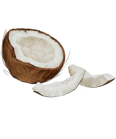 LOGONA Organic Coconut Hair Care Oil - Natural Vegan Nourishing Treatment for All Hair Types - 45 ml - Buy Online on GoSupps.com