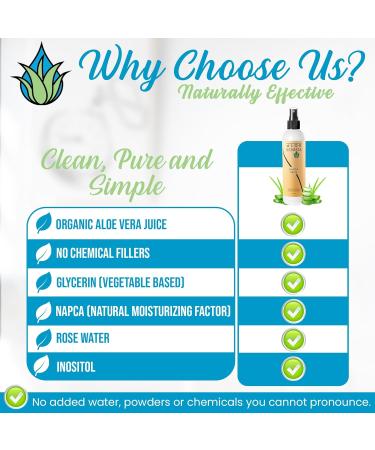 NaPCA Facial Moisturizer Spray - Cooling & Hydrating Face Mist with Pure Sodium PCA Rose Water & Aloe for Refreshing Toning - Buy Online on GoSupps.com