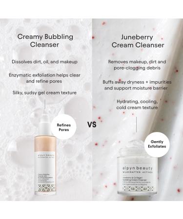 Buy Alpyn Juneberry & Vitamin C Hydrating Cream Cleanser - Exfoliating Cleanser for Soft Smooth Skin | 3.9 oz | International Shipping Available - Buy Online on GoSupps.com