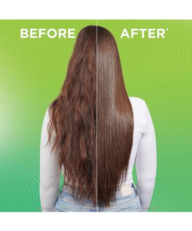 Garnier Fructis Style Sleek & Shine Flat Iron Perfector Straightening Mist 6 oz (Pack of 2) - Buy Online on GoSupps.com