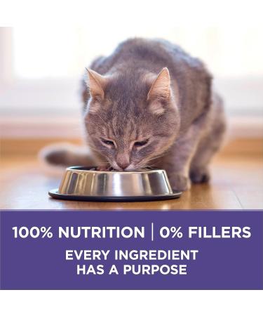 Purina ONE +Plus Dry Cat Food Hairball Formula Chicken - 3 kg Bag 3 kg (Pack of 1) - Buy Online on GoSupps.com
