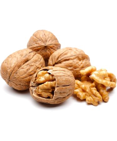 10 kg | Fresh walnuts directly from Poland | Fresh | Tasty and healthy | The fruits of the walnut tree | Walnuts in shell - Buy Online on GoSupps.com