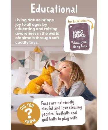Living Nature Dachshund Eco-Friendly Plush Toy - Realistic Soft Cuddly Dog (28cm) - Buy Online on GoSupps.com