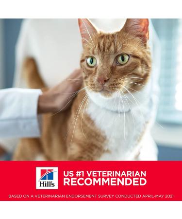 Hill's Science Diet Adult Dry Cat Food - Chicken Recipe for Healthy Growth & Energy - Buy Online on GoSupps.com