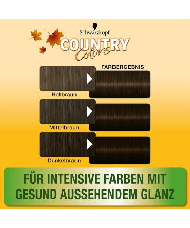 Country Colors Intensive Tint 70 Brazil Dark Brown - Ammonia-Free Hair Color | 3 x 123ml | Lasts 8 Weeks - Buy Online on GoSupps.com