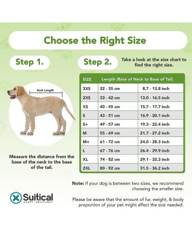 Buy Suitical Recovery Suit for Dogs - S+ Black | International Shipping Available - Buy Online on GoSupps.com