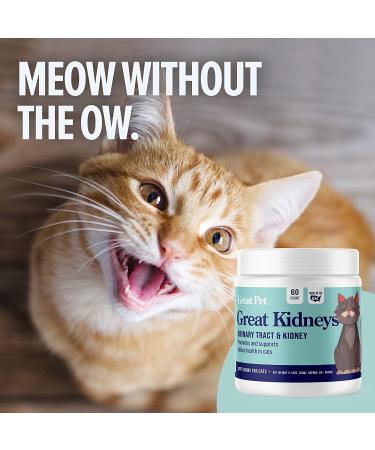 Great Kidneys Natural Cat Kidney Support Treats - Chicken Flavor - Made in USA - Buy Online on GoSupps.com
