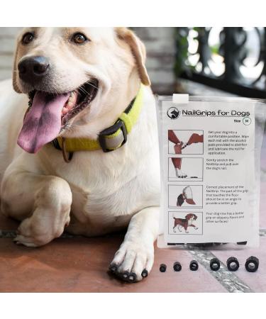 EIDEAL Pets | Nail-Grips for Dogs | Anti-slip Nail Covers for Dogs | Traction Grips for Dogs | Affordable Rubber Grips for Dogs for Hardwood Floors | Instant Relief for Dogs who Slip (XXL) | One pack (20 Grips) - Buy Online on GoSupps.com