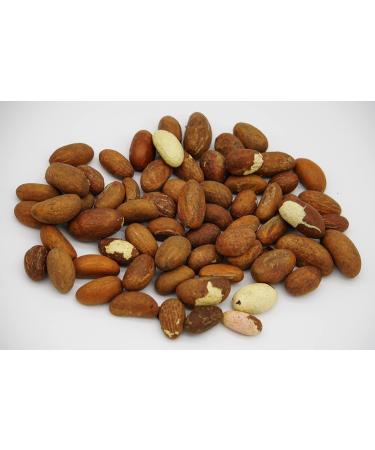 KOLA NUTRITION FRESH BITTER KOLA 1lb - Buy Online on GoSupps.com