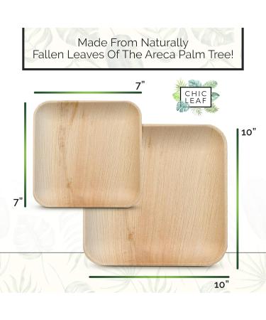 Chic Leaf Palm Leaf Plates - 48 Pc Disposable Bamboo Plates Party Pack - Compostable and Biodegradable - 10 Inch & 7 Inch Square - Eco-Friendly Alternative to Plastic and Paper Plates - Buy Online on GoSupps.com