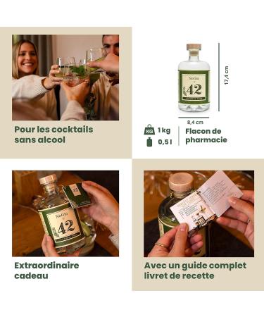 NoGin 42 - The alternative to non-alcoholic gin with the original Gin 42 spices | jnpr | Sugar free | Ideal companion for no - Buy Online on GoSupps.com