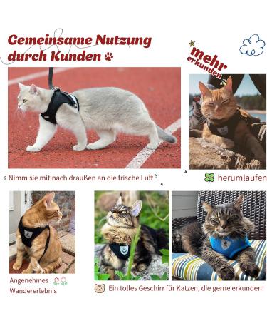 Supet Cat Dishes - Soft Cat Vest with Leash for Kittens & Small Dogs (Chihuahua) - L Size (Chest 38-43 cm) - Durable & Stylish in Red - Buy Online on GoSupps.com