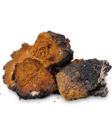 Addictive Wellness Chaga Mushroom Extract Powder Dual-Extracted Full-Spectrum Adaptogen for Immune Support Antioxidant Protection Energy & Radiant Skin 100% Pure Potent & Ready-to-Drink - Buy Online on GoSupps.com