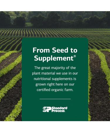 Standard Process Whole Food Folate - Supports Cellular Health & Processes - Includes Vitamin B12 - Supports Vascular Function - Vegetarian Gluten-Free & Non-Dairy - 270 Capsules (45 Servings) - Buy Online on GoSupps.com