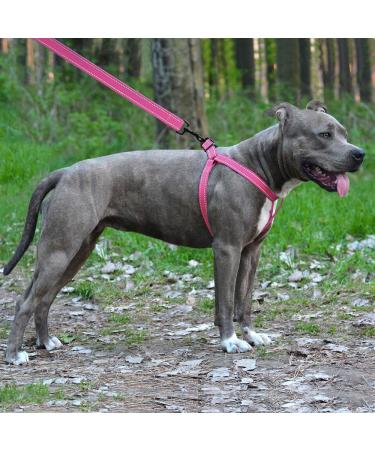 Collardirect Adjustable Reflective Dog Harness - Sizes S M L | Outdoor Walking Gear for Dogs & Puppies in Pink Black Red Purple Mint Green Orange Blue - Buy Online on GoSupps.com