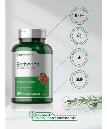 Horb ach Berberine 500mg Supplement | 120 Capsules | Berberine HCl from Barberry Extract | Vegetarian Non-GMO Gluten Free - Buy Online on GoSupps.com